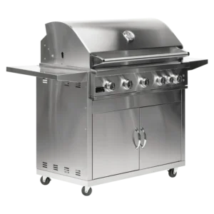 Stainless Steel Gas Grill